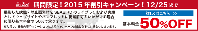 シーバードキャンペーン